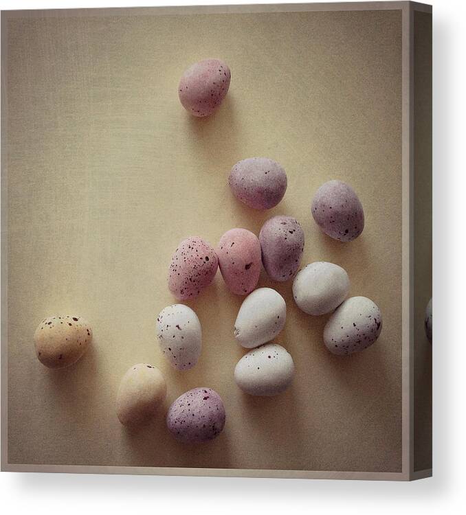 Transfer Print Canvas Print featuring the photograph Mini Chocolate Eggs by Nichola Sarah