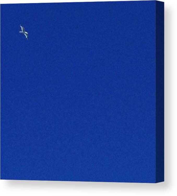  Canvas Print featuring the photograph Minimalism by Melanie Stork