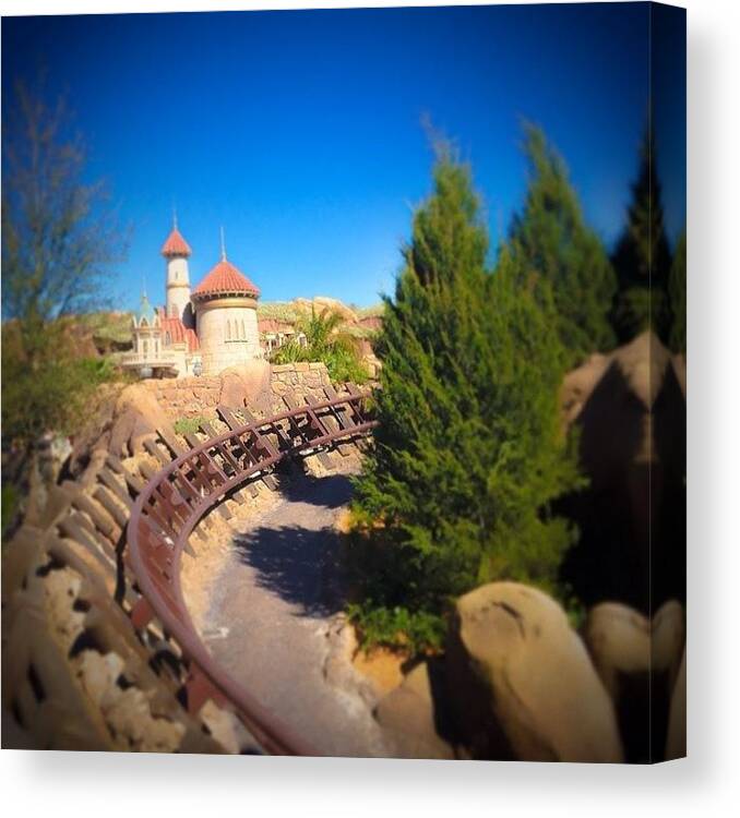 Disneymustdo Canvas Print featuring the photograph Mining.find 
with The Walls Down by Steve Fox