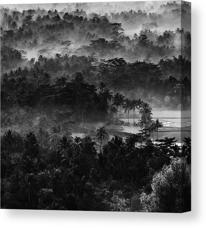 Palm Trees Canvas Print featuring the photograph .....mist In The Morning..... by Johanes Januar