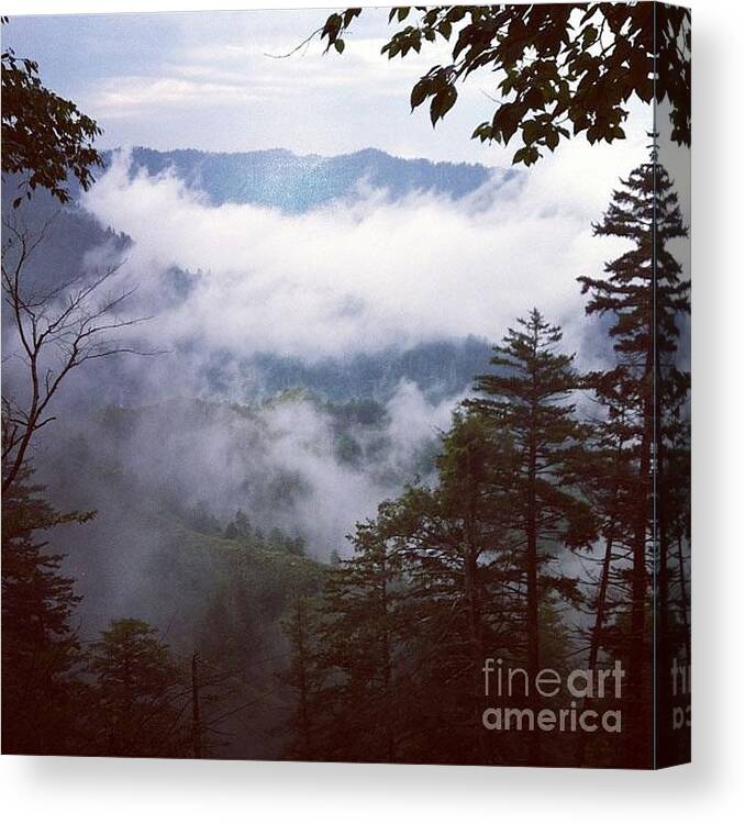 Nature Found In The Rocky Mountains. Green Canvas Print featuring the painting Misty Mountain by Hal Newhouser