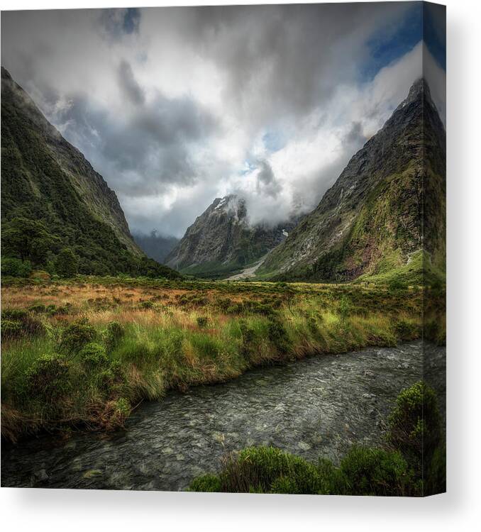 Scenics Canvas Print featuring the photograph Monkey Creek | Fiordland, New Zealand by Copyright Lorenzo Montezemolo