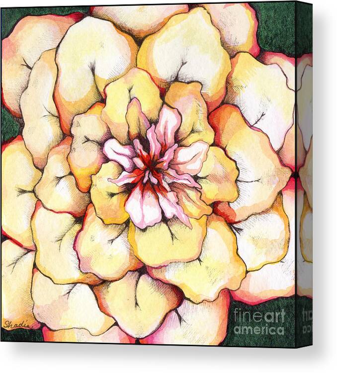 Bloomers Canvas Print featuring the painting Moon Flower out of the bloomers and onto the bloom by Shadia Derbyshire