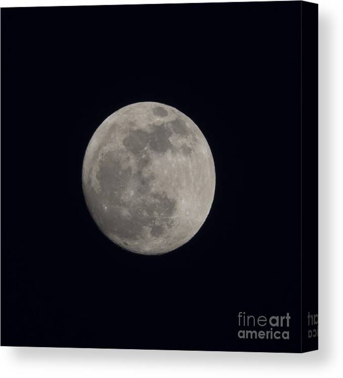 Full Moon Canvas Print featuring the photograph Moon by Mats Silvan
