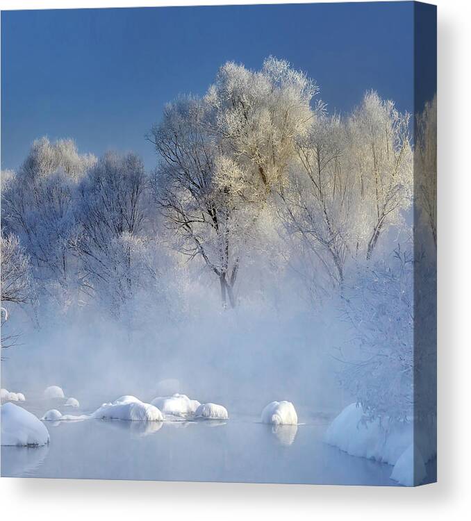 Fog Canvas Print featuring the photograph Morning Fog And Rime In Kuerbin by Hua Zhu
