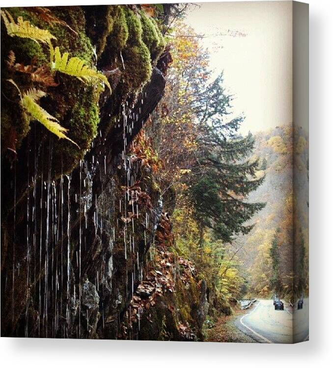 Mountains Canvas Print featuring the photograph Mountain Scenes by Rachel Waters