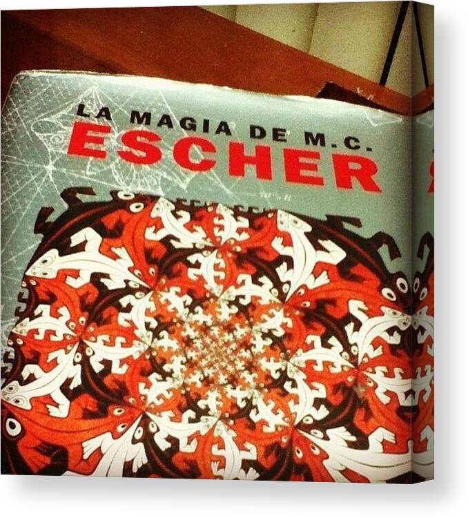 Draw Canvas Print featuring the photograph Mr Escher, Is by Miori Bando