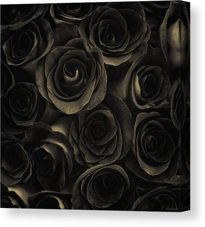 Flowers Canvas Print featuring the photograph Multi Rose Deep Brown by Joseph Hedaya