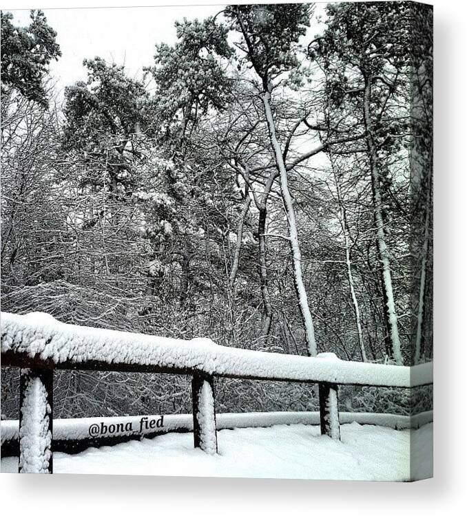 Beautiful Canvas Print featuring the photograph My Snow Photo Of The Day by Brian Lyons