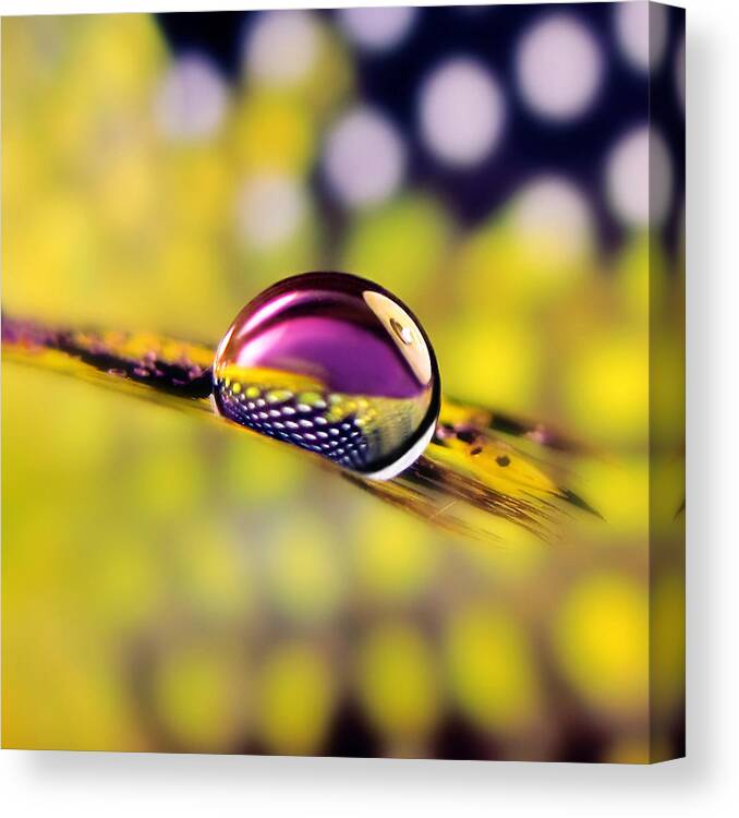 Canon Powershot Sx10 Is Canvas Print featuring the photograph Mysterious by Vesna Viden