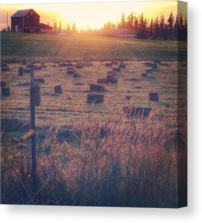 Nothingisordinary_ Canvas Print featuring the photograph Neighboring Farm At Sunset...have A by Blenda Studio