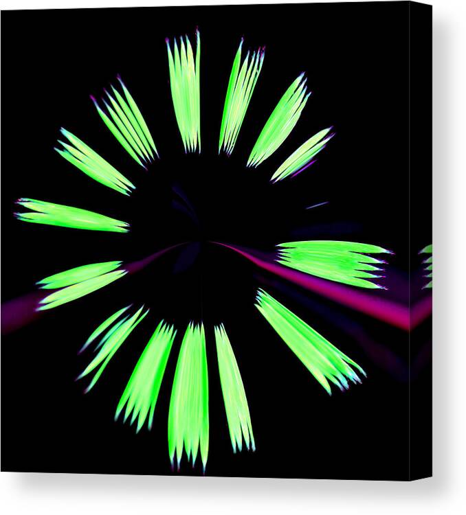 Abstract Canvas Print featuring the photograph Neon Dreams by Deena Stoddard