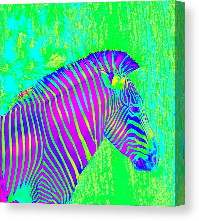 Zebra Canvas Print featuring the painting Neon Zebra 2 by Jane Schnetlage