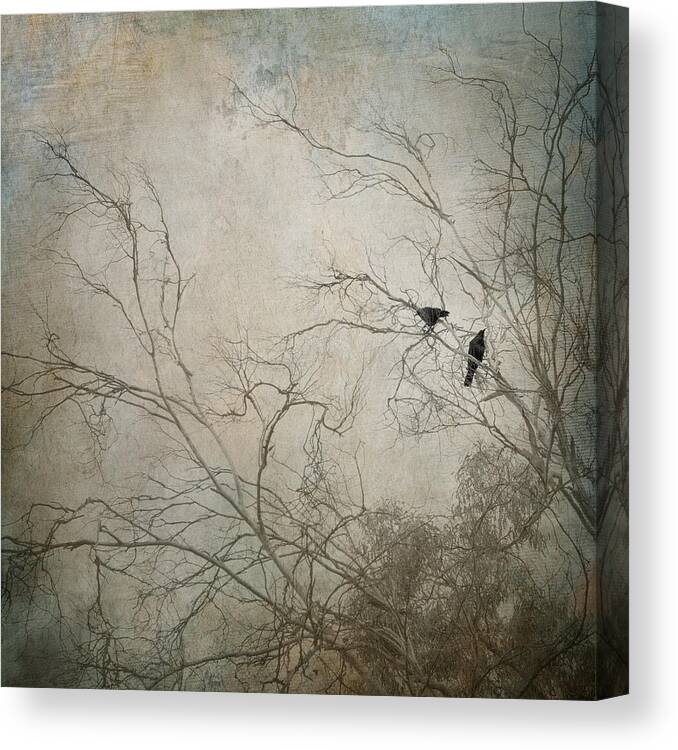 Raven Canvas Print featuring the photograph Nevermore... by Amy Weiss
