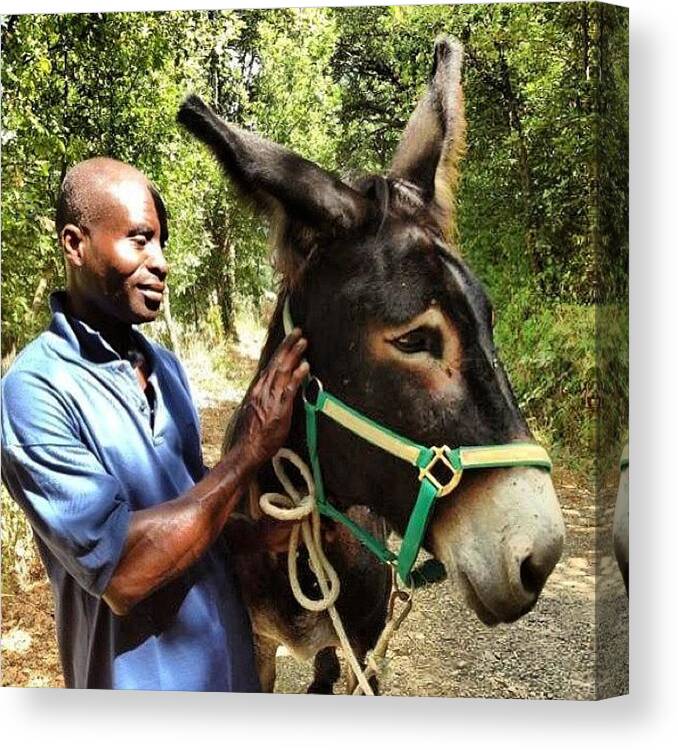 Horse Canvas Print featuring the photograph New Entry, Found Running On A Road Now by Riccardo Rossi