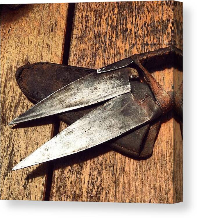 Handshears Canvas Print featuring the photograph Nice Find...old Wool Shears by Elizabeth N Gregory