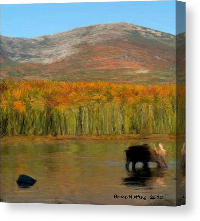Mountain Canvas Print featuring the painting Northwest Moose by Bruce Nutting