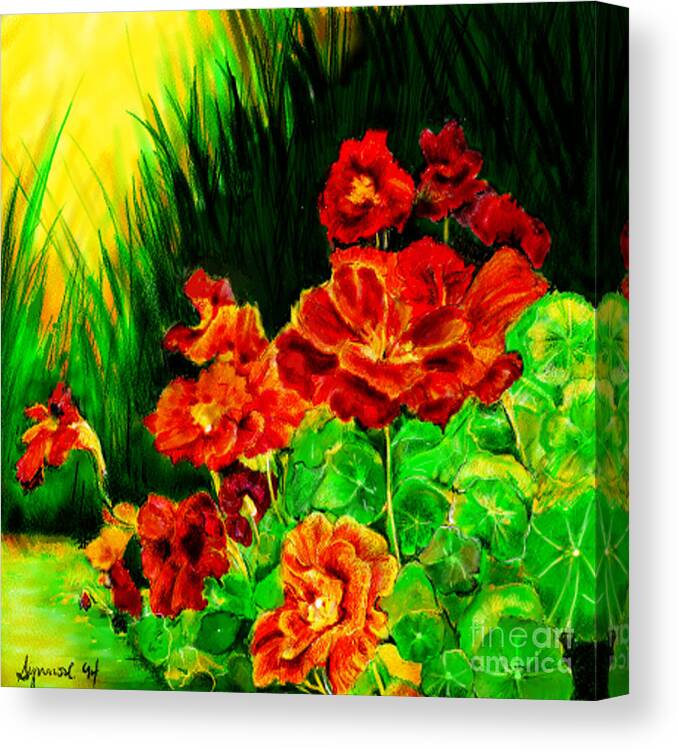 Flowers Canvas Print featuring the painting Nosturtiums by Synnove Pettersen
