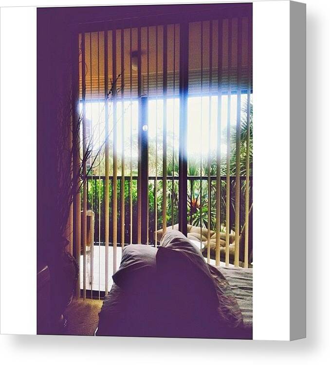 Onelaststopbeforecopenhagen Canvas Print featuring the photograph Nothing Like Waking Up To Palm Trees by Kelly Black