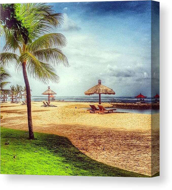 Coconut Canvas Print featuring the photograph #nusadua #beach #sea #sand #coconut by Mia Wigny