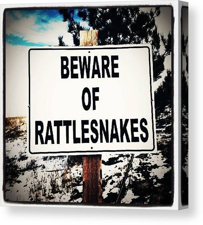 Beware Canvas Print featuring the photograph Oh. Its Like That. #rattlesnakes by Tecia Elston