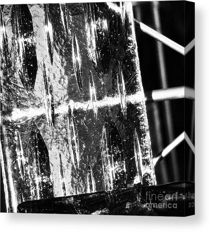 Ice Canvas Print featuring the photograph On Ice by Eileen Gayle