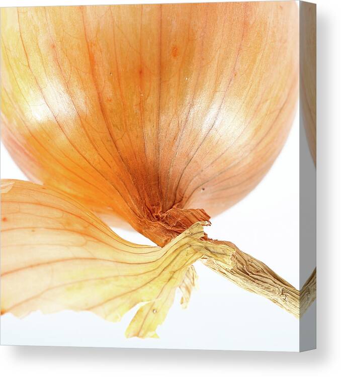 White Background Canvas Print featuring the photograph Onion Head by Ana Lukascuk