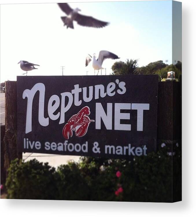 Neptunes Canvas Print featuring the photograph Only In Malibu #neptunes by Miles Jones