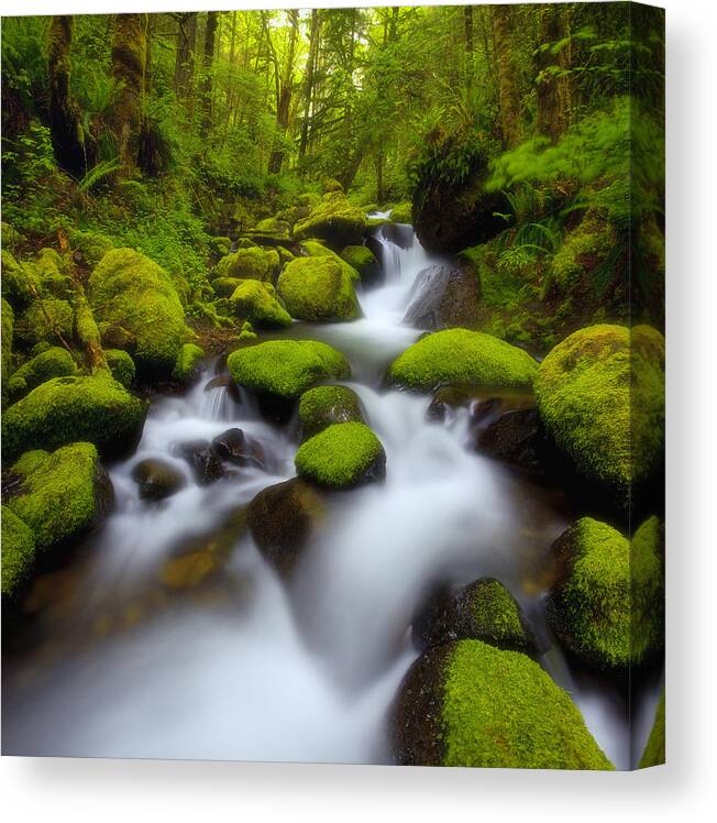 Oregon Canvas Print featuring the photograph Oregon Mossy Dreams by Darren White