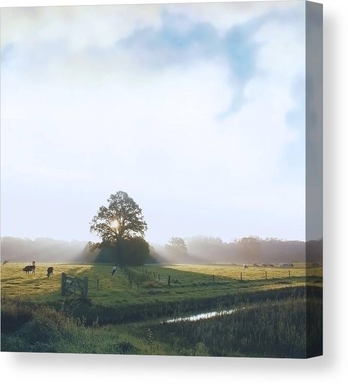 Tranquility Canvas Print featuring the photograph Paint My Day by Bob Van Den Berg Photography