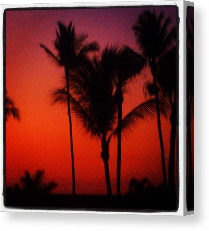 Palmtrees Canvas Print featuring the photograph Palm Trees at Sunset by Brandon McClintock