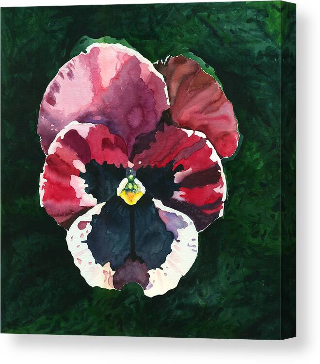 Pink Canvas Print featuring the painting Pansy Red by Katherine Miller
