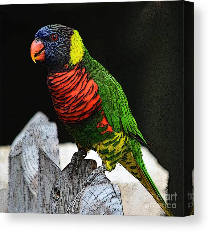 Parakeet Canvas Print featuring the digital art Parakeet Vibrant Colorful Profile Poster Edges Digital Art by Shawn O'Brien