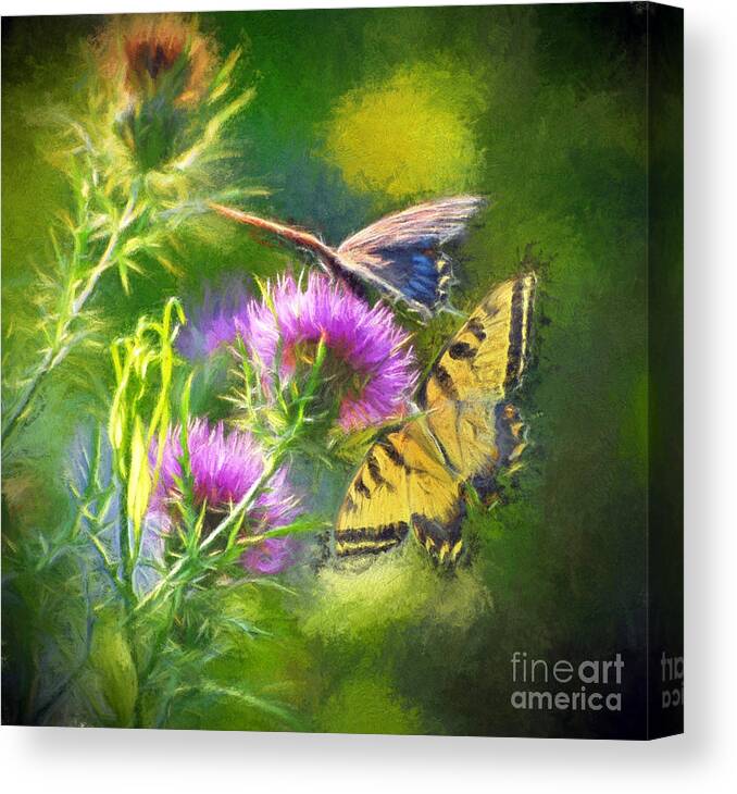 Butterfly Canvas Print featuring the photograph Peaceful Easy Feeling by Kerri Farley