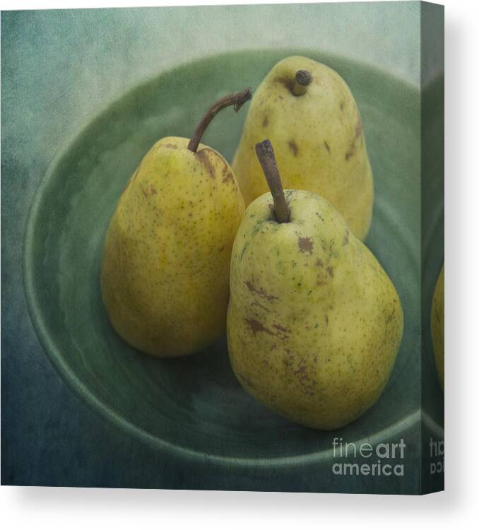 Pear Canvas Print featuring the photograph Pears In A Square by Priska Wettstein
