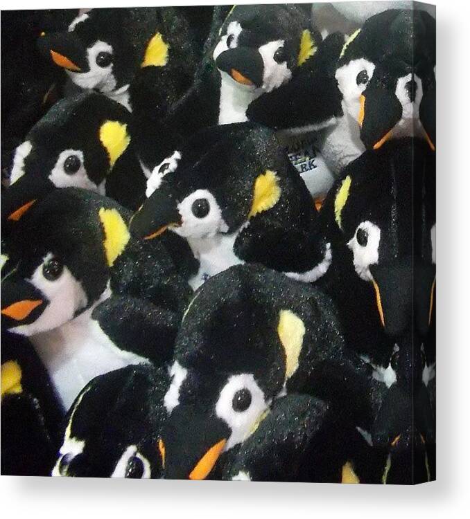 Penguins Canvas Print featuring the photograph Penguin Rush Hour by Oscar Del Mundo