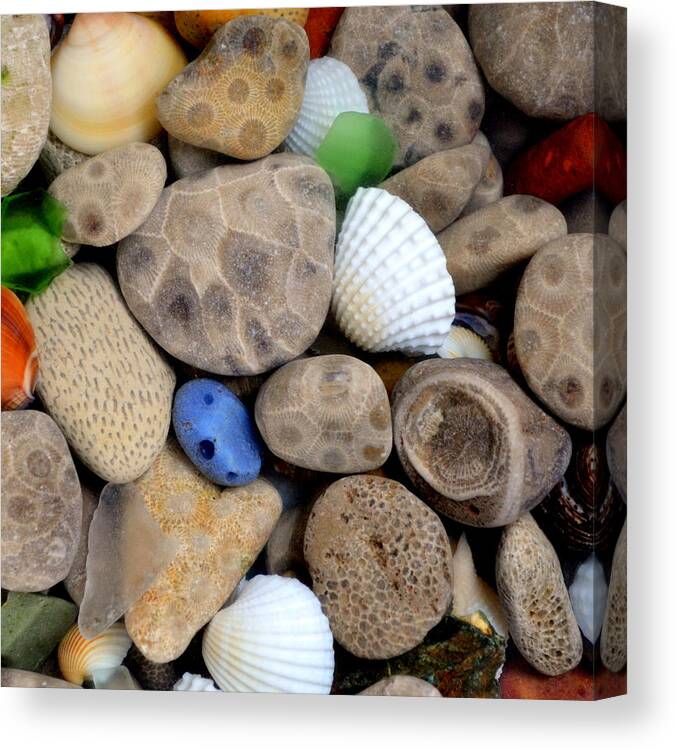 Square Canvas Print featuring the photograph Petoskey Stones V by Michelle Calkins