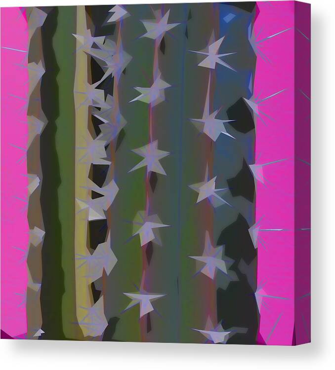 Cactus Canvas Print featuring the photograph Pink and Green Cactus Collage by Carol Leigh