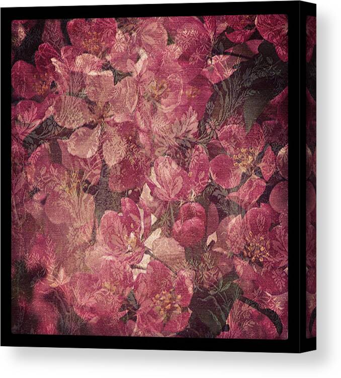 Pink Canvas Print featuring the photograph Pink flowers by Prince Andre Faubert
