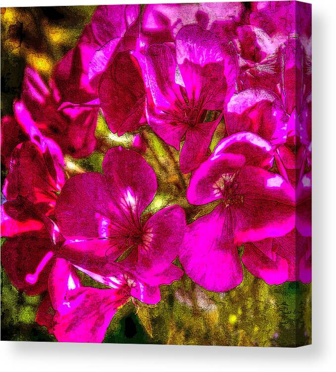 Pink Canvas Print featuring the photograph Pink Flowers Lustre by Chris McKenna
