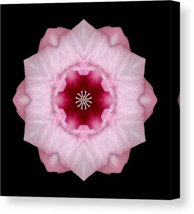 Flower Canvas Print featuring the photograph Pink Hibiscus I Flower Mandala by David J Bookbinder