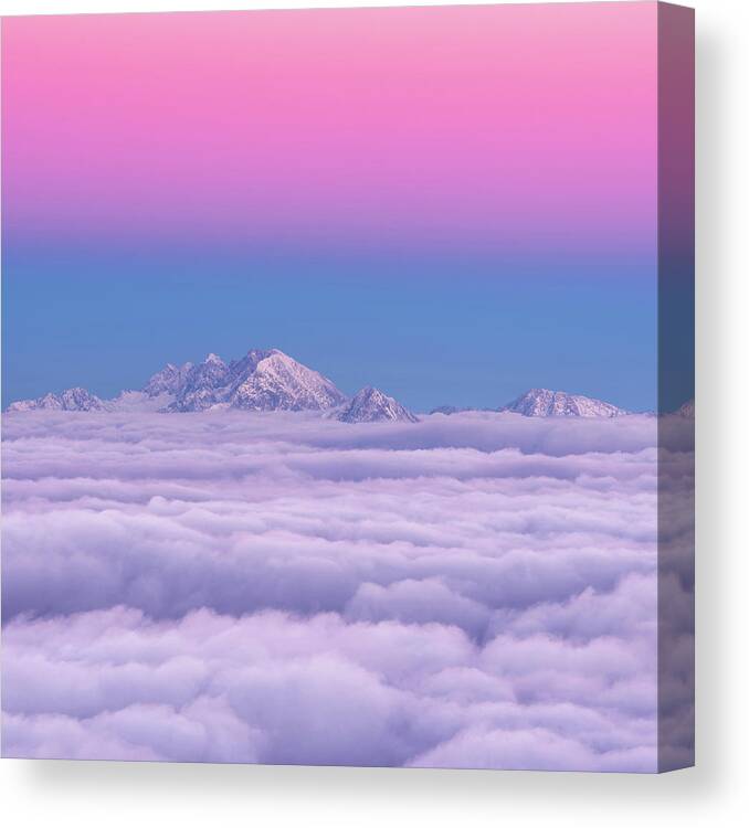 Sunset Canvas Print featuring the photograph Pink In The Sky by Ales Krivec