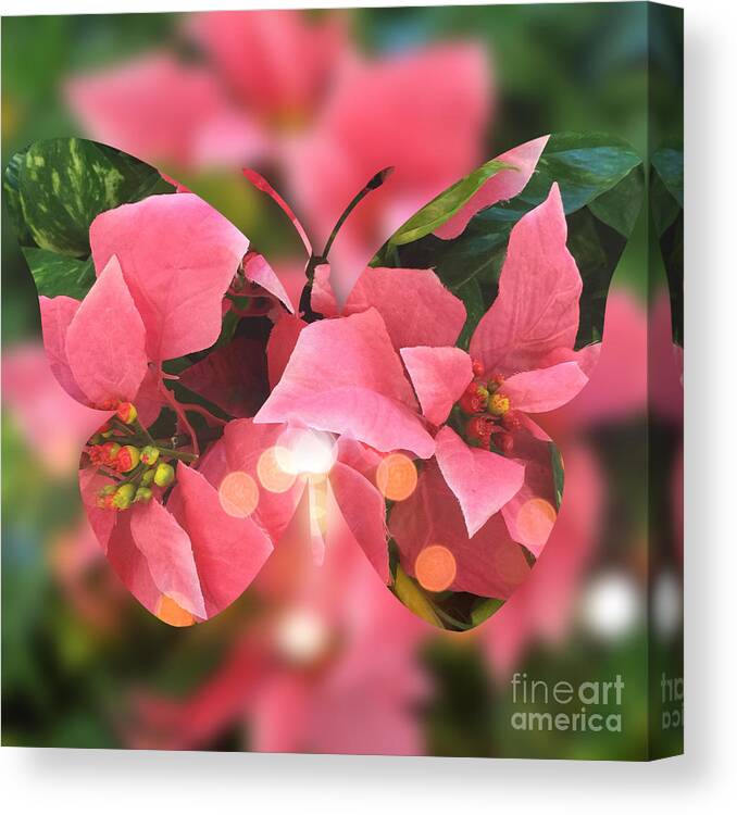 Butterfly Canvas Print featuring the digital art Pink Poinsettia Butterfly by Beverly Claire Kaiya