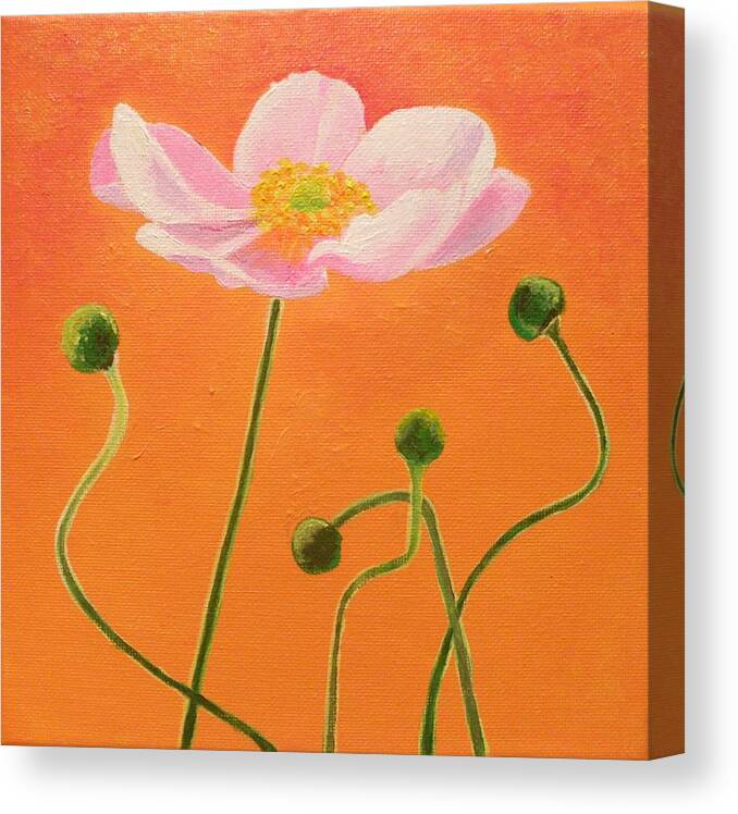 Acrylic Canvas Print featuring the painting Pink poppy by Anne Gardner