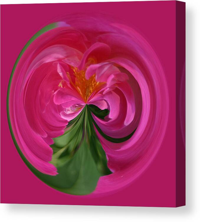 Flowers Canvas Print featuring the photograph Pink Rose Series 112 by Jim Baker