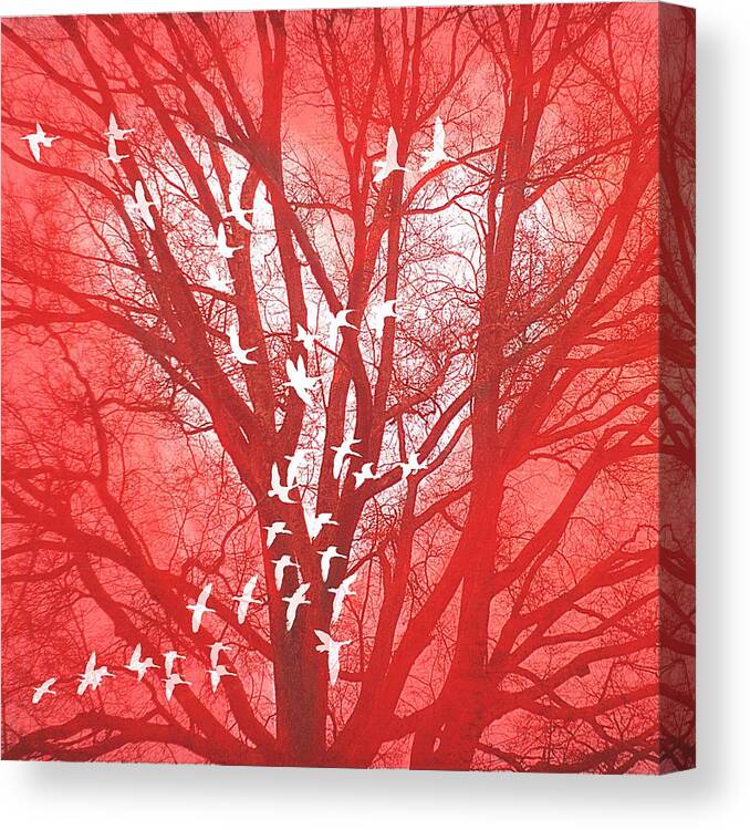 Pink Canvas Print featuring the photograph Pink Tree Of Life Heart by Suzanne Powers