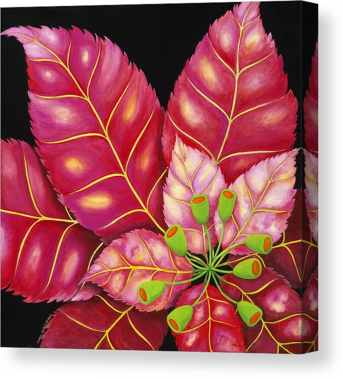 Acrylic Canvas Print featuring the painting Poinsettia by Carol Sabo