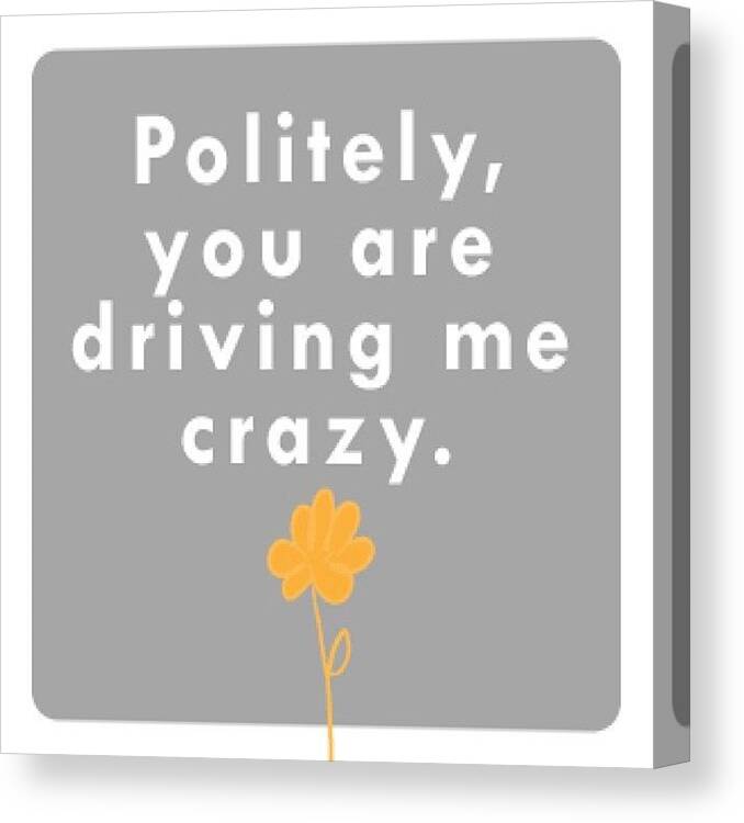  Canvas Print featuring the photograph Politely, You Are Driving Me Crazy by Meredith Leah