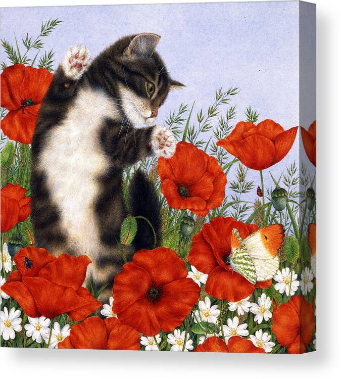 Art Licensing Canvas Print featuring the painting Poppies by Anne Mortimer