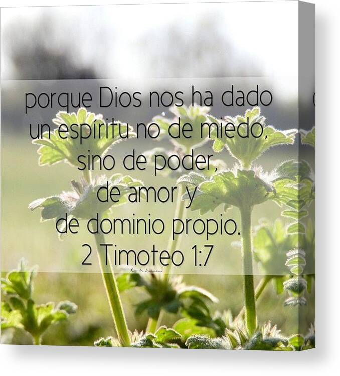  Canvas Print featuring the photograph Porque Dios Nos Ha Dado Un Espíritu No by Traci Beeson